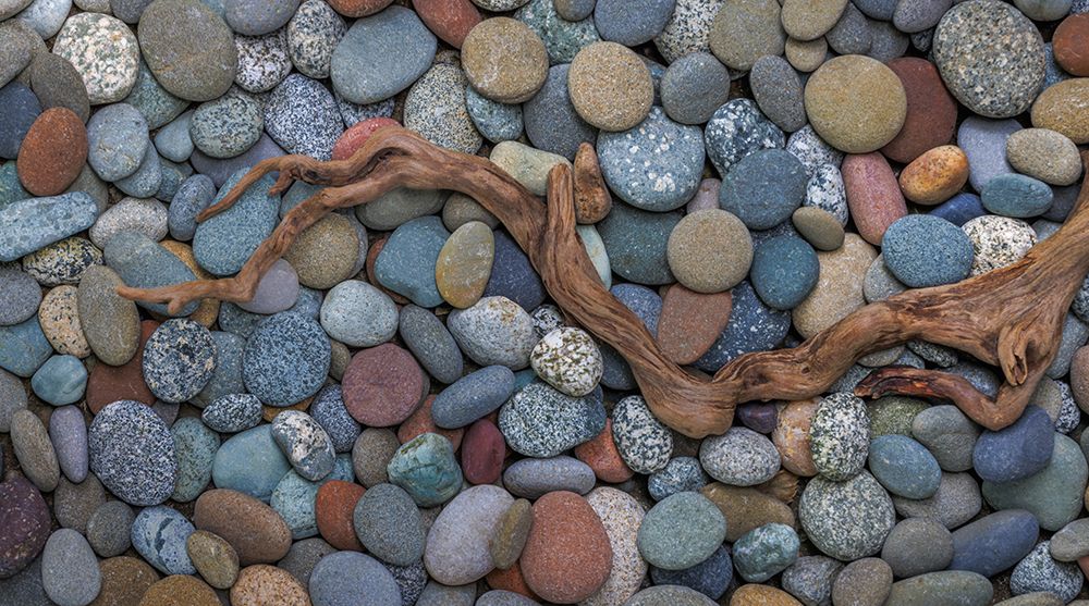 USA, Washington State, Seabeck. Panoramic of driftwood on beach rocks. art print by Jaynes Gallery for $57.95 CAD