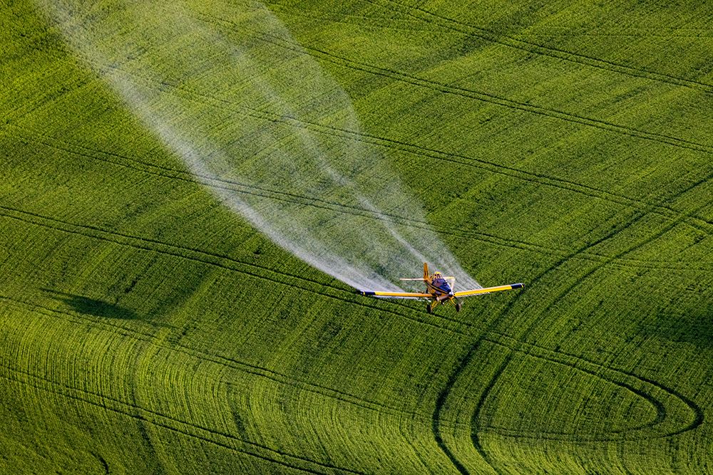 Crop duster applying chemicals on wheat fields near Colfax-Washington State-USA art print by Chuck Haney for $57.95 CAD