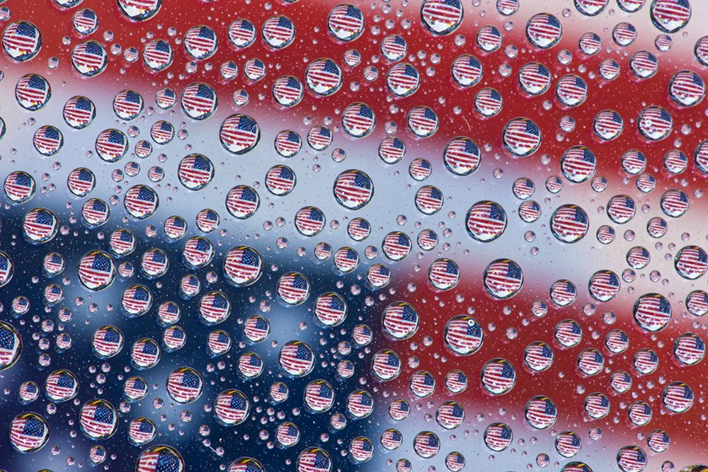 USA- Washington State- Sammamish. American Flag reflections in dew drops art print by Darrell Gulin for $57.95 CAD