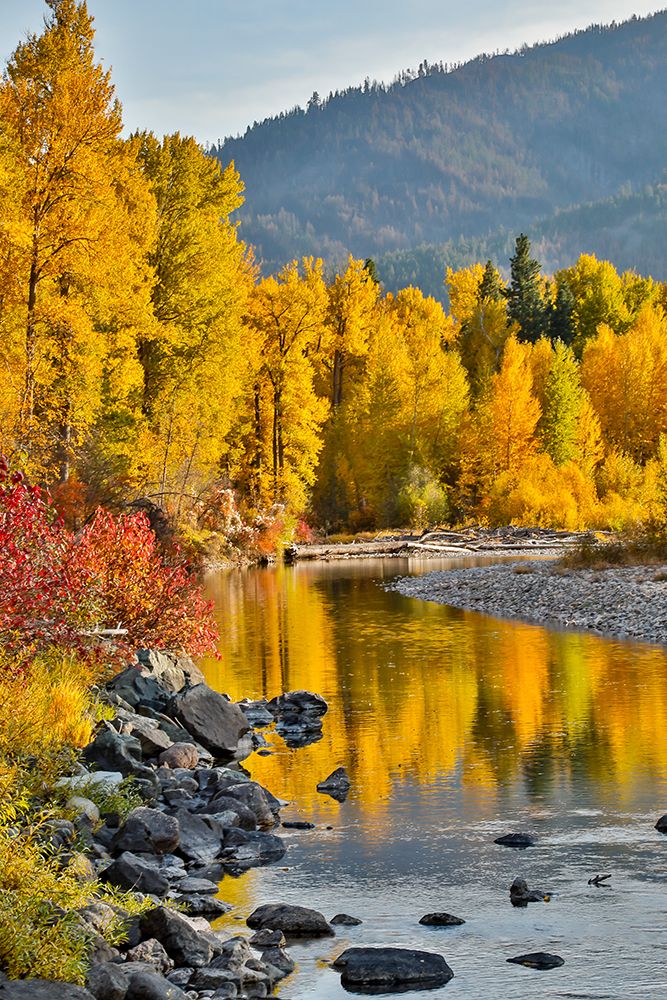 USA- Washington State- Methow Valley and river edged in Fall colored trees. art print by Darrell Gulin for $57.95 CAD