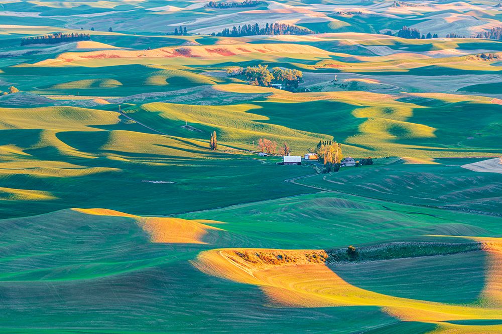 Steptoe Butte State Park-Washington State-USA-Sunset view of wheat farms in the rolling Palouse hil art print by Emily Wilson for $57.95 CAD