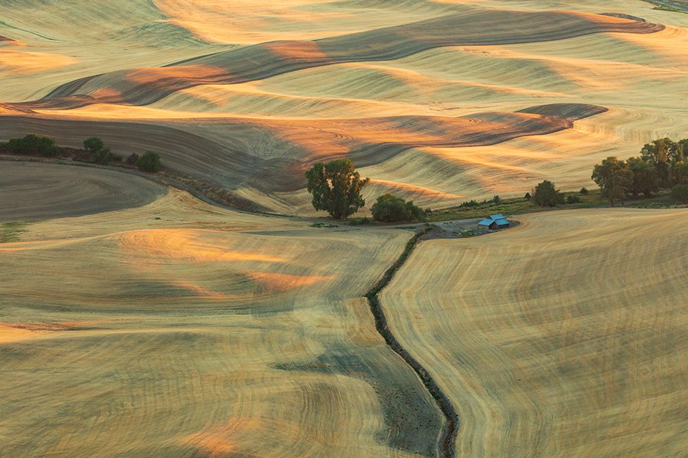USA- Washington State- Whitman County- Palouse. Rolling fields and hills near Steptoe Butte. art print by Emily Wilson for $57.95 CAD