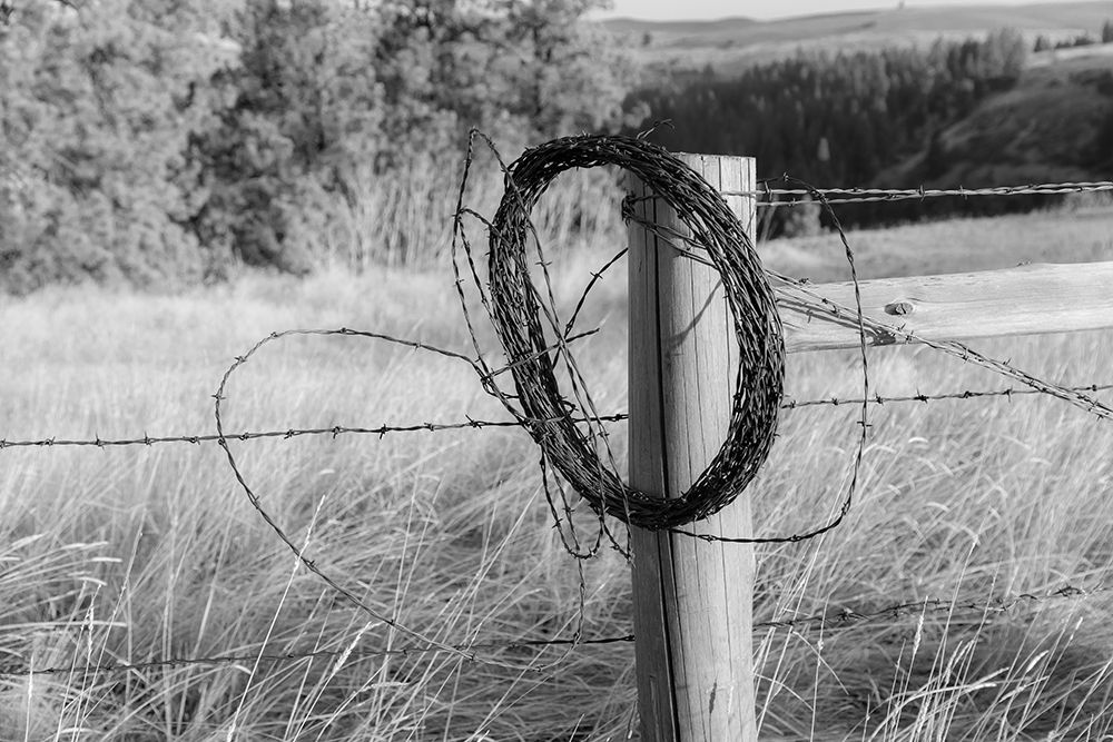 USA- Washington State- Whitman County- Palouse. Barbed wire fence Posts. art print by Emily Wilson for $57.95 CAD