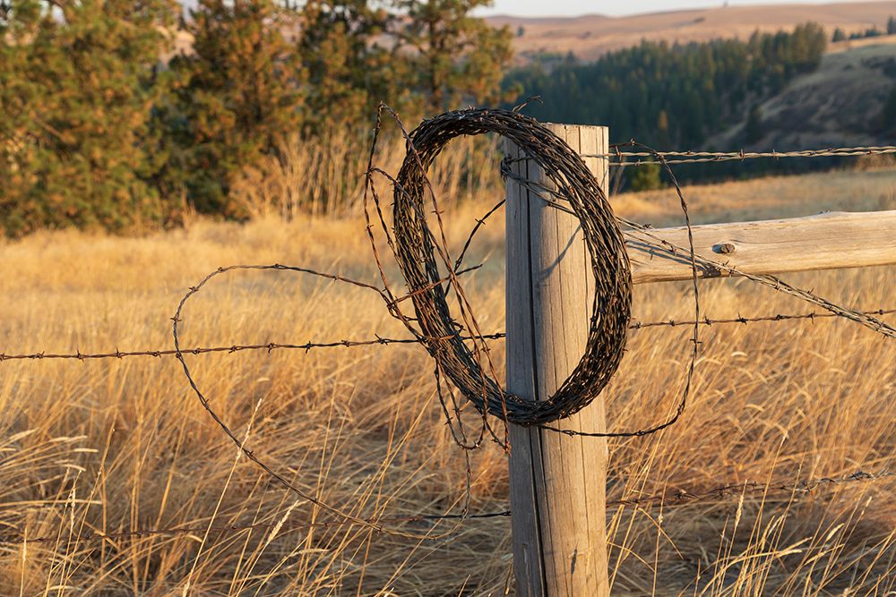 USA- Washington State- Whitman County- Palouse. Barbed wire fence Posts. art print by Emily Wilson for $57.95 CAD
