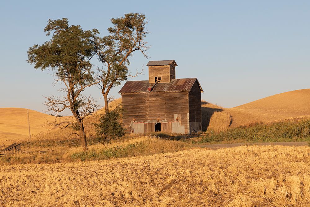 USA- Washington State- Whitman County- Palouse. Colfax. Old grain silo and barn along Filan Road. art print by Emily Wilson for $57.95 CAD