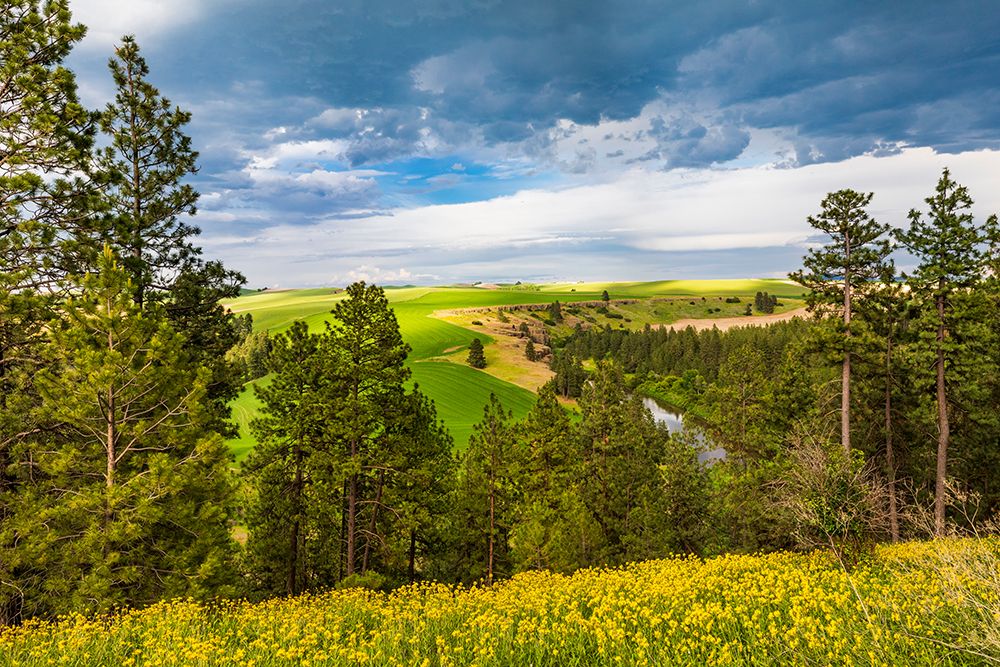 USA-Washington State-Palouse-Colfax River Valley art print by Emily M. Wilson for $57.95 CAD