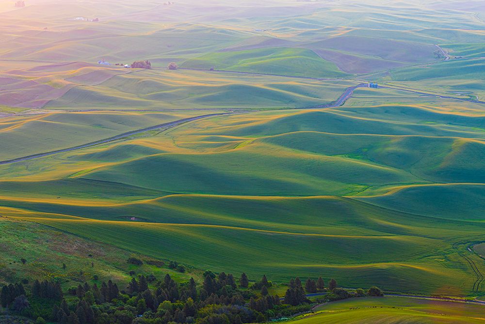 USA-Washington State-Palouse-Colfax View from Steptoe Butte art print by Emily M. Wilson for $57.95 CAD