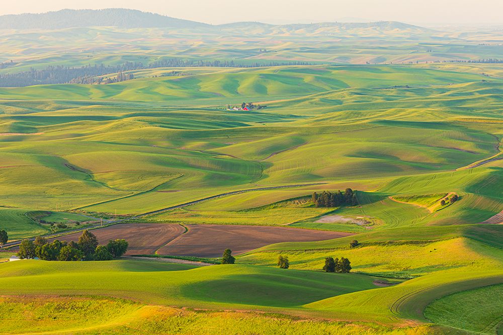 USA-Washington State-Palouse-Colfax View from Steptoe Butte art print by Emily M. Wilson for $57.95 CAD