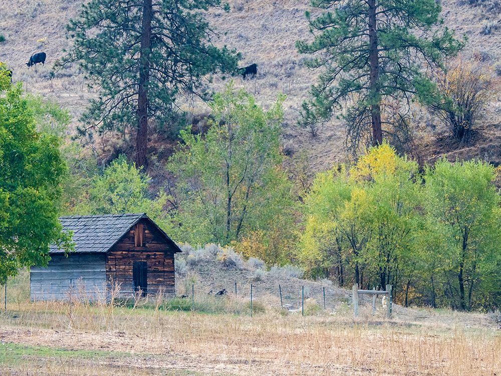 USA-Washington State-Okanogan County. Old out building. art print by Julie Eggers for $57.95 CAD