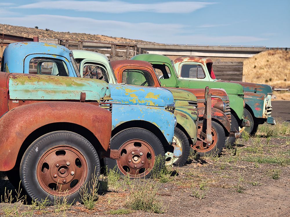 Row of old trucks in a field in the Palouse art print by Julie Eggers for $57.95 CAD