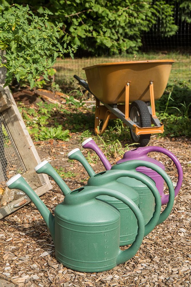 Issaquah-Washington State-USA Row of plastic watering cans for hand-watering a garden art print by Janet Horton for $57.95 CAD