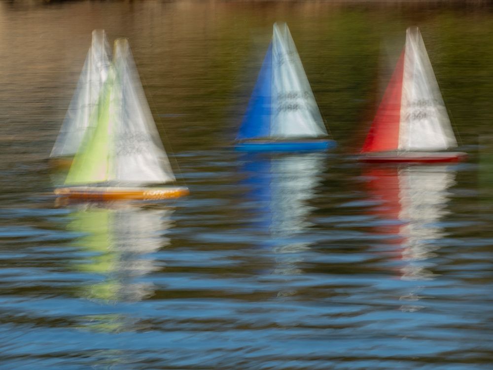 Usa-Washington State-Renton. Remote control sailboats at Gene Coulon Park on Lake Washington. art print by Merrill Images for $57.95 CAD