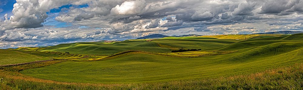 USA, Colfax, Washington State. Enos Road, scenic agriculture. art print by Joe Restuccia III for $57.95 CAD
