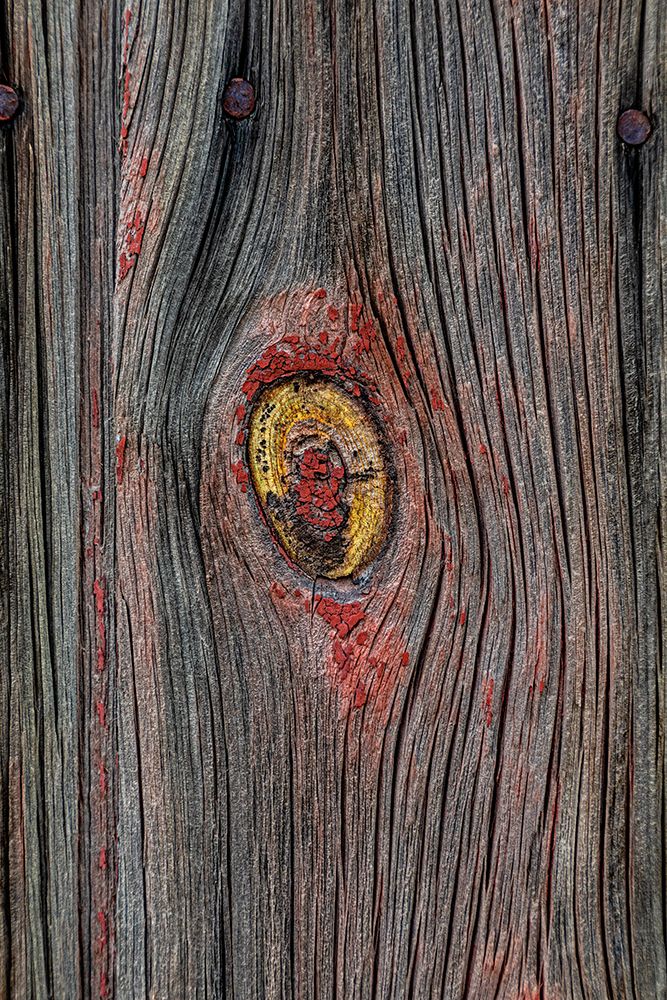 USA, Palouse, Washington State. Wood pattern. art print by Joe Restuccia III for $57.95 CAD