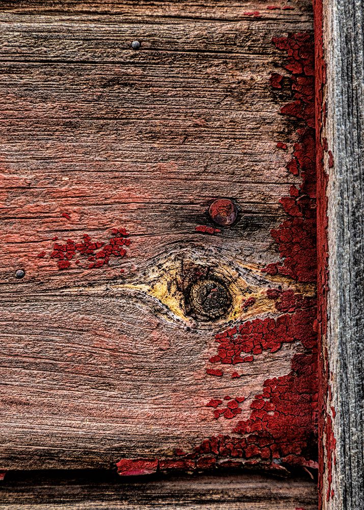 USA, Palouse, Washington State. Wood pattern. art print by Joe Restuccia III for $57.95 CAD
