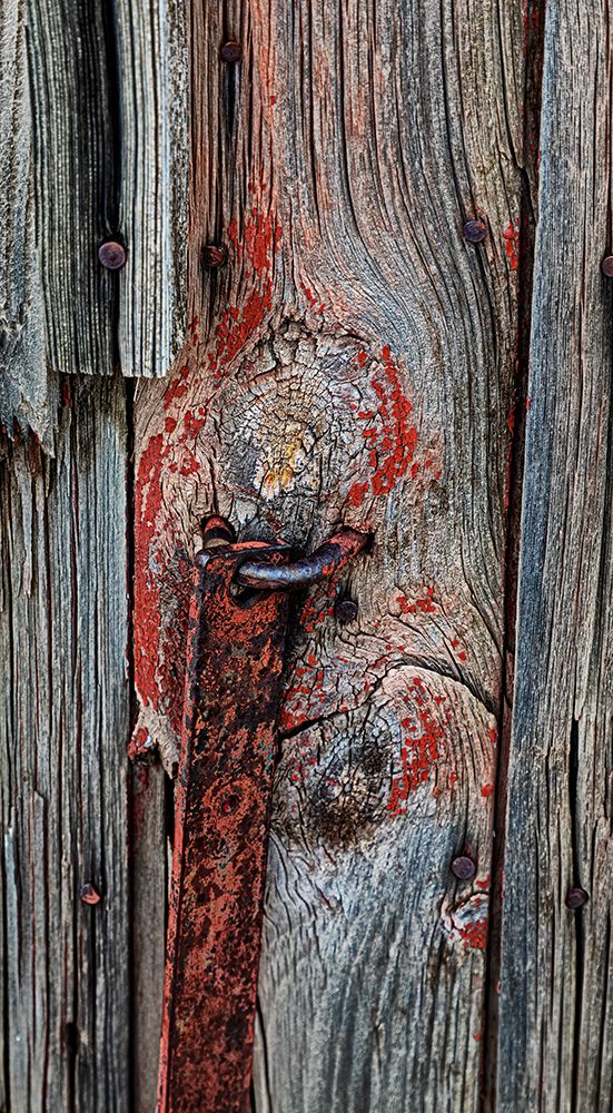 USA, Palouse, Washington State. Wood pattern. art print by Joe Restuccia III for $57.95 CAD