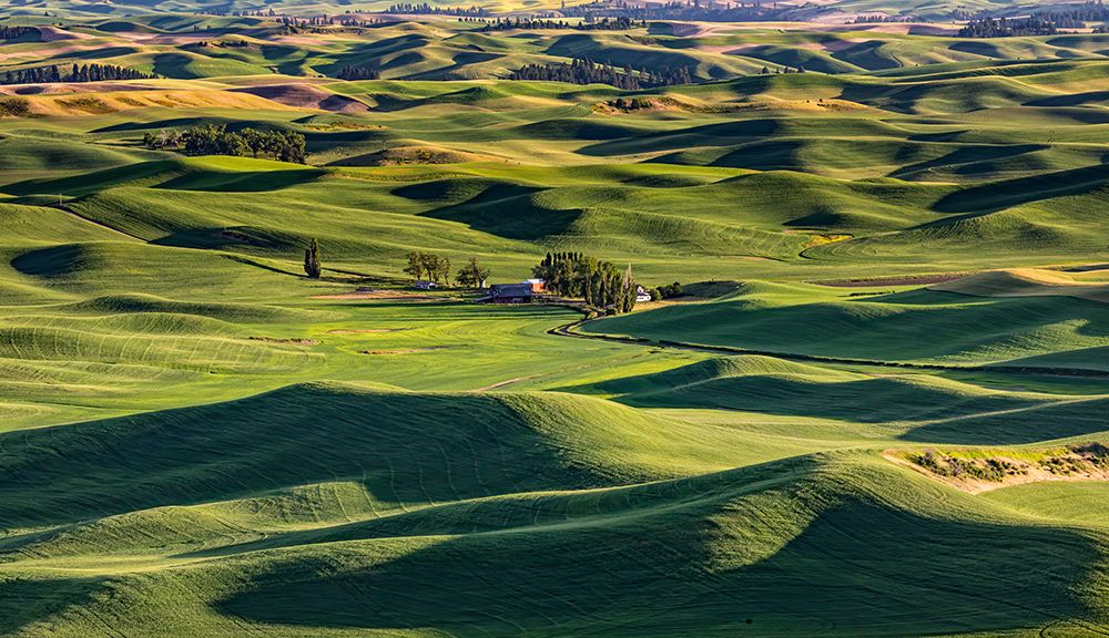 USA, Colfax, Washington State. Steptoe Butte State Park. art print by Joe Restuccia III for $57.95 CAD