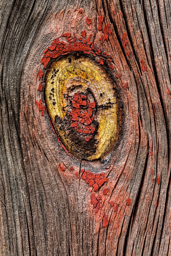 USA, Palouse, Washington State. Wood pattern. art print by Joe Restuccia III for $57.95 CAD