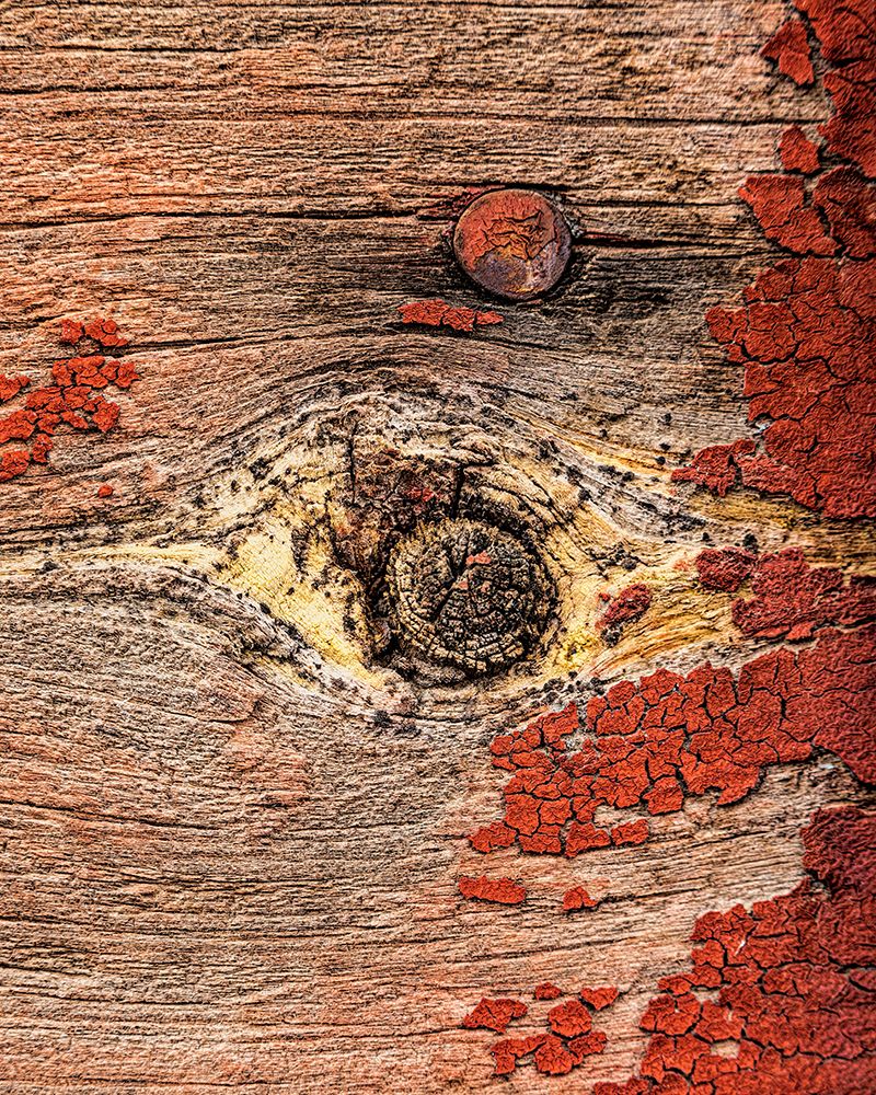 USA, Palouse, Washington State. Wood pattern. art print by Joe Restuccia III for $57.95 CAD