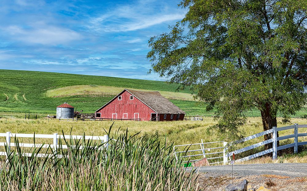 USA, Endicott, Washington State. Lee Road, farming scene. art print by Joe Restuccia III for $57.95 CAD