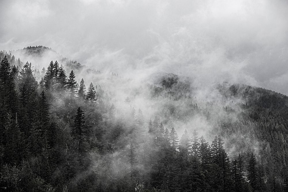 North Cascades Mountains-foggy mountain art print by Jolly Sienda for $57.95 CAD