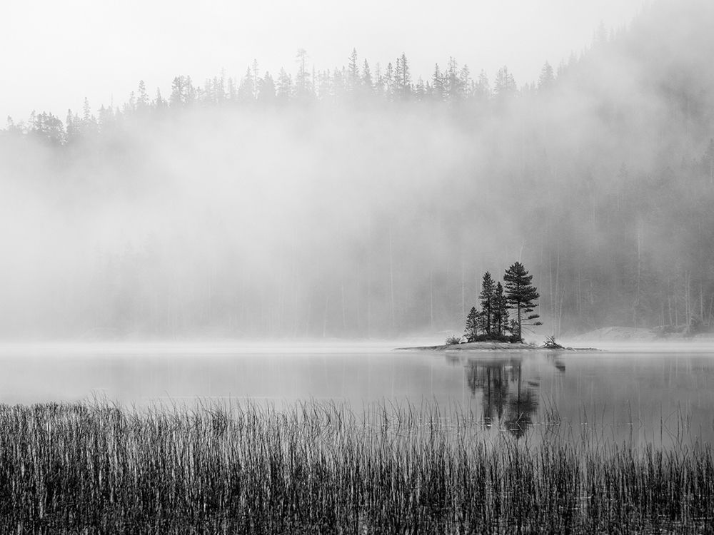 Washington State Alpine Lakes Wilderness-Snow Lake-island and fog art print by Jamie and Judy Wild for $57.95 CAD