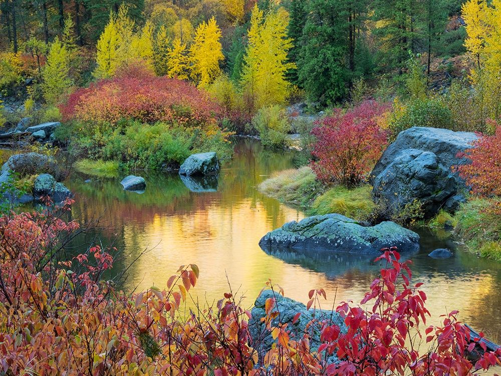 WA-Tumwater Canyon-Autumn reflection art print by Jamie and Judy Wild for $57.95 CAD