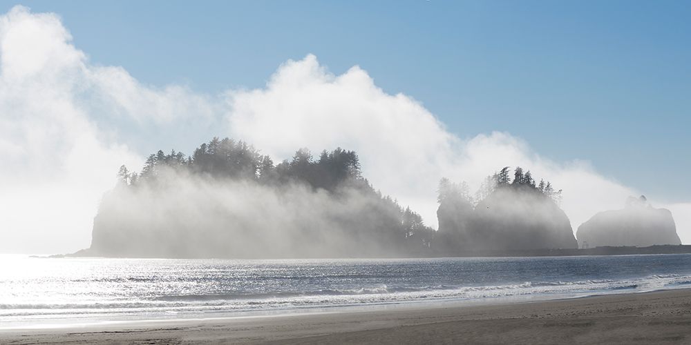 Washington State-Pacific Coast-First Beach James Island in fog art print by Jamie and Judy Wild for $57.95 CAD