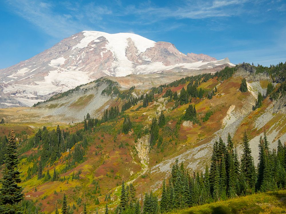USA-WA-Mount Rainier National Park Mount Rainier and fall color-view from Skyline Trail art print by Jamie and Judy Wild for $57.95 CAD