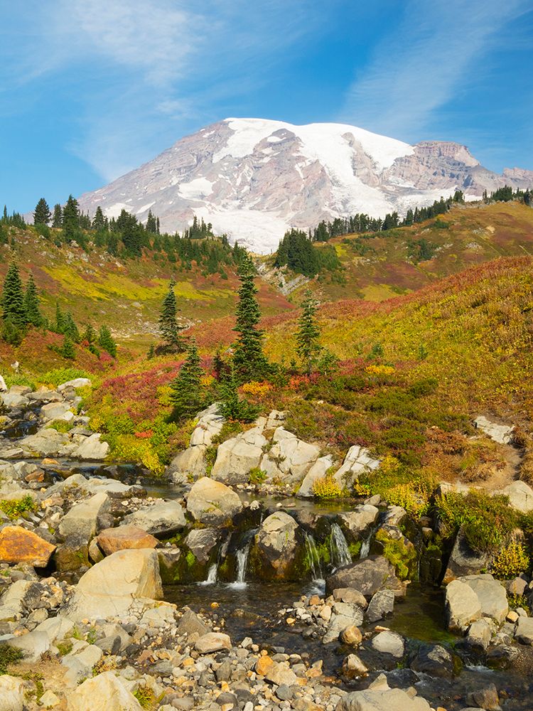 USA-Washington State-Mount Rainier National Park Mount Rainier and fall color-with Edith Creek art print by Jamie and Judy Wild for $57.95 CAD