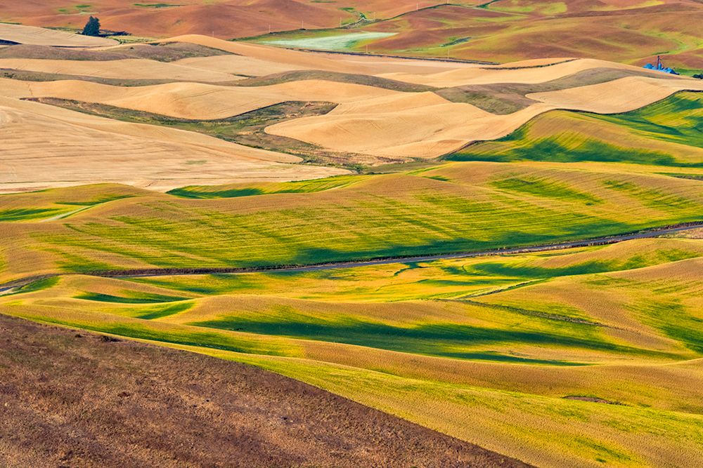 Landscape of rolling wheat field-Palouse-Washington State-USA art print by Keren Su for $57.95 CAD