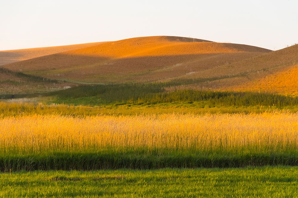Sunset view of wheat field-Palouse-Washington State-USA art print by Keren Su for $57.95 CAD
