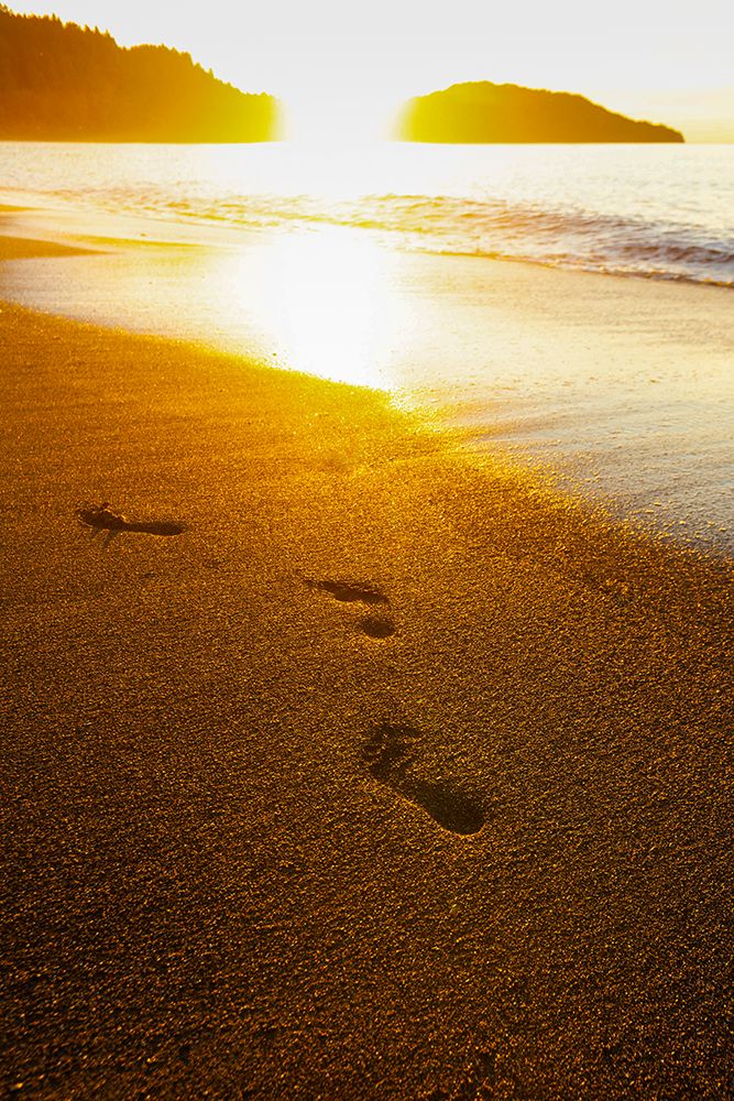 Footprints on beach, Olympic Peninsula, Washington State, USA. art print by Rob Casey for $57.95 CAD
