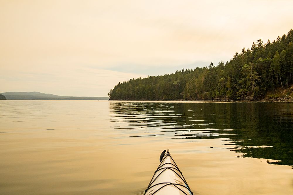 Paddling Hood Canal, Quilcene, Washington State, USA. art print by Rob Casey for $57.95 CAD