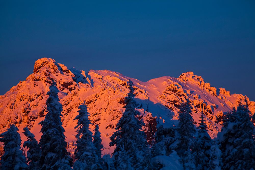 Winter mountain scene, Hurricane Ridge, Olympic National Park, Port Angeles, Washington State, USA. art print by Rob Casey for $57.95 CAD