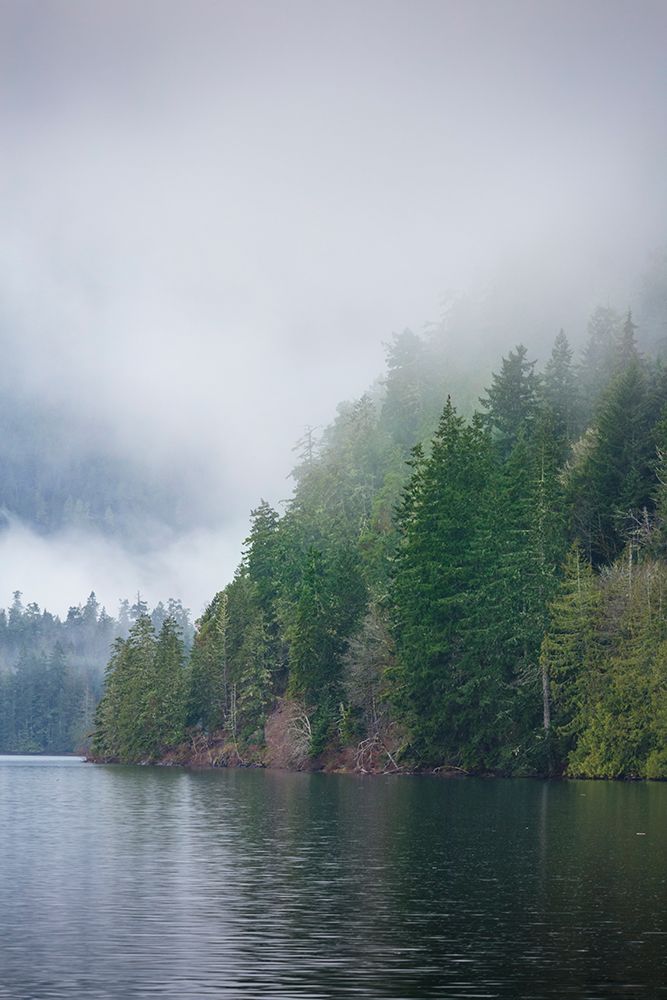 Fog over forest above Lake Crescent, Olympic National Park, Washington State, USA. art print by Rob Casey for $57.95 CAD