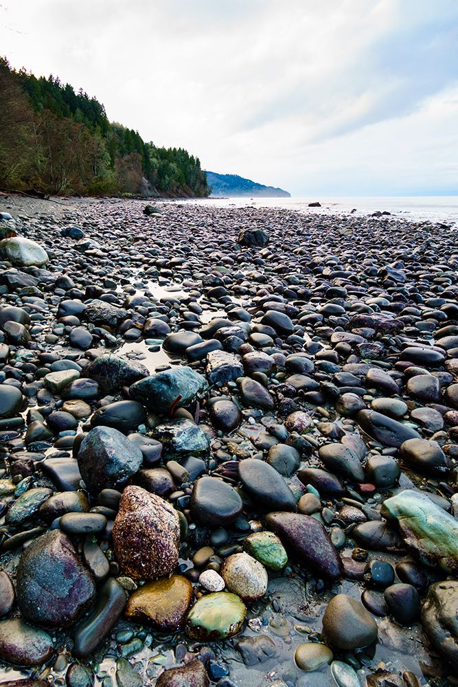 Low tide, Freshwater Bay beach, Port Angeles, Washington State, USA art print by Rob Casey for $57.95 CAD