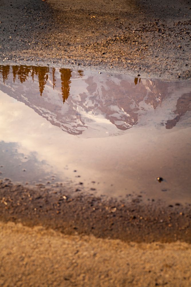 Reflection of Mount Rainier in a puddle, Mt. Rainier National Park, Washington State, USA art print by Rob Casey for $57.95 CAD