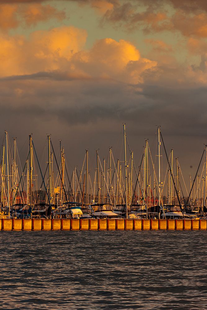 Elliott Bay Marina, Smith Cove, Seattle, Washington State, USA art print by Rob Casey for $57.95 CAD