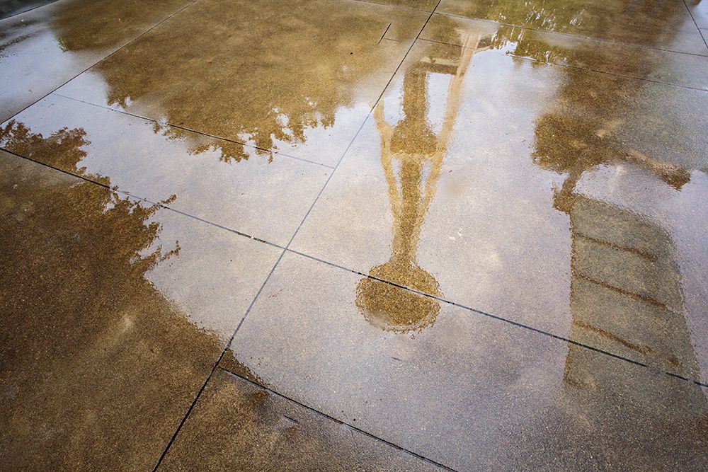 Reflection of Space Needle, Seattle, Washington State, USA. art print by Rob Casey for $57.95 CAD