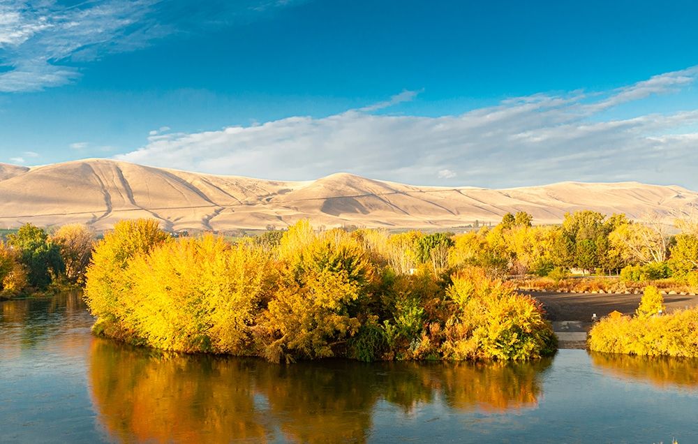 Washington State-Yakima Valley Fall colors are reflected in the Yakima River art print by Richard Duval for $57.95 CAD