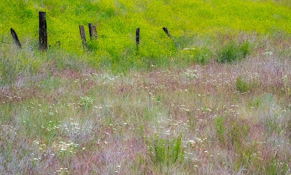 USA-Washington State-Benge Wooden post fence and grasses on rolling hills art print by Sylvia Gulin for $57.95 CAD