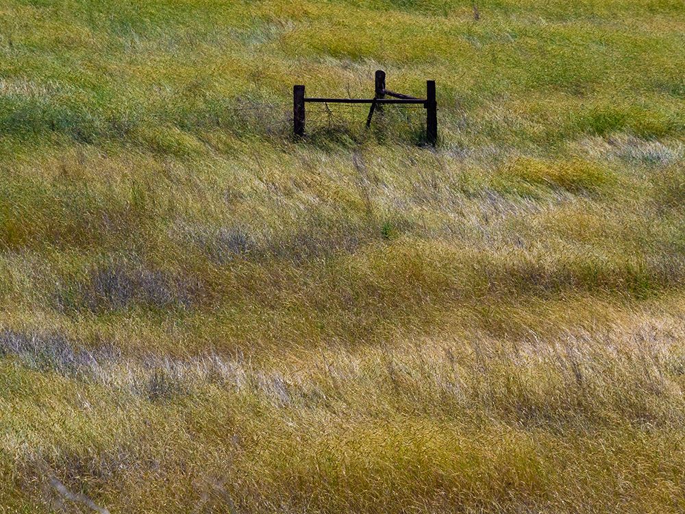 USA-Washington State-Palouse with wooden fence posts in grass field art print by Sylvia Gulin for $57.95 CAD