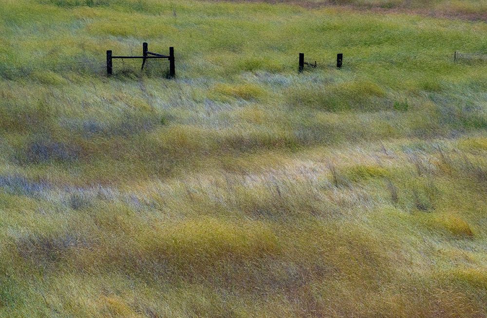 USA-Washington State-Palouse with wooden fence posts in grass field art print by Sylvia Gulin for $57.95 CAD