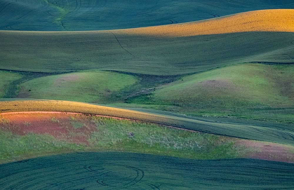 USA-Washington State-Palouse and Steptoe Butte State Park view of Wheat fields last light art print by Sylvia Gulin for $57.95 CAD