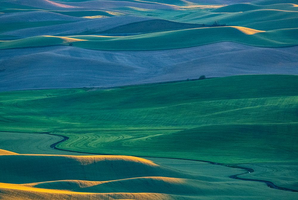 USA-Washington State-Palouse and Steptoe Butte State Park view of Wheat fields last light art print by Sylvia Gulin for $57.95 CAD