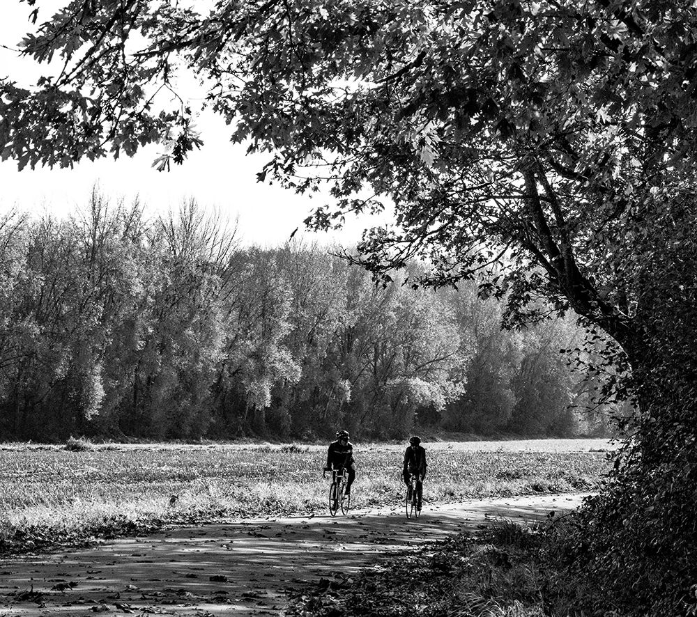 USA-Washington State-Fall City black and white two bike riders along Neal Rd SE art print by Sylvia Gulin for $57.95 CAD