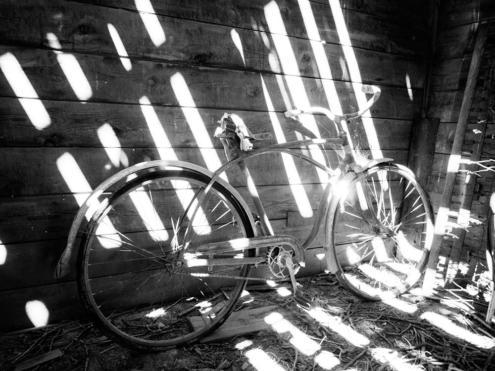 Old bicycle inside barn with shadows streaming art print by Terry Eggers for $57.95 CAD