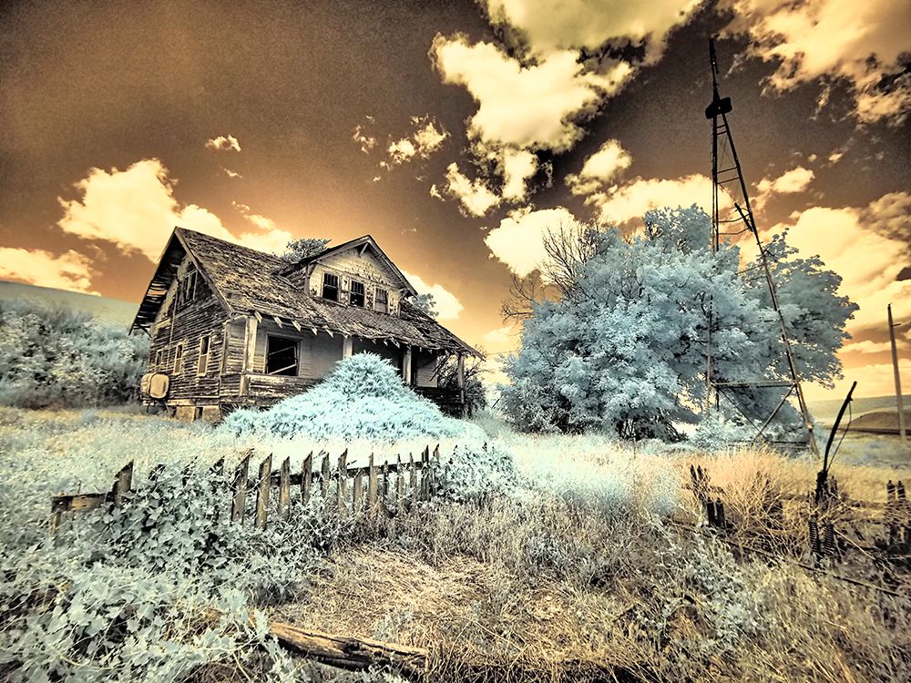 USA-Washington State-Palouse-Abandoned old homestead art print by Terry Eggers for $57.95 CAD