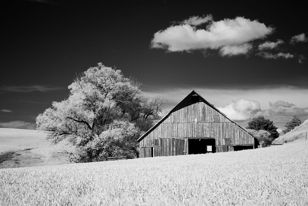 USA-Palouse Country-Washington State-Infrared Palouse fields and barn art print by Terry Eggers for $57.95 CAD